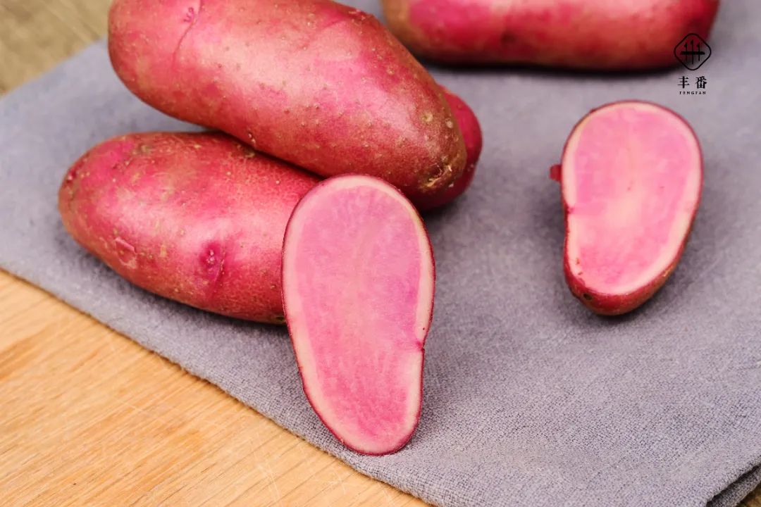 1431653607033925.jpg 微信图片_20220527071229.jpg