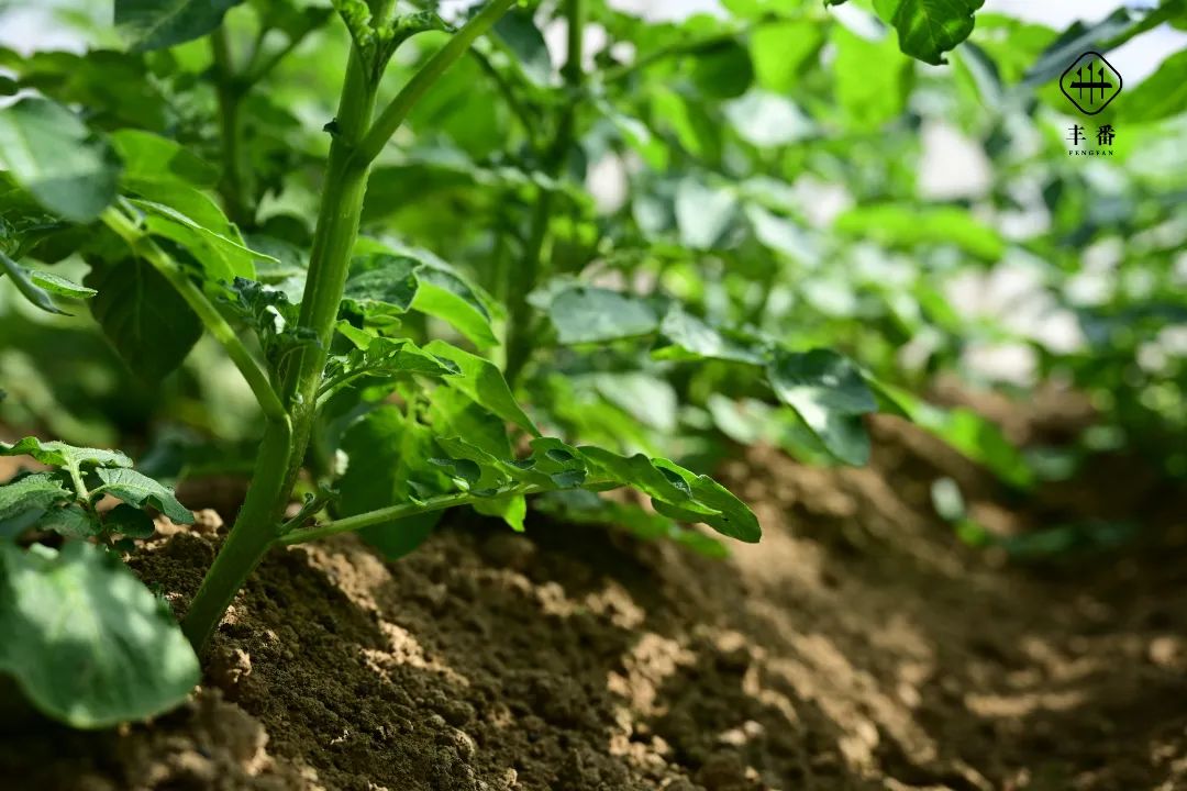 1661653606885665.jpg 微信图片_20220527071215.jpg