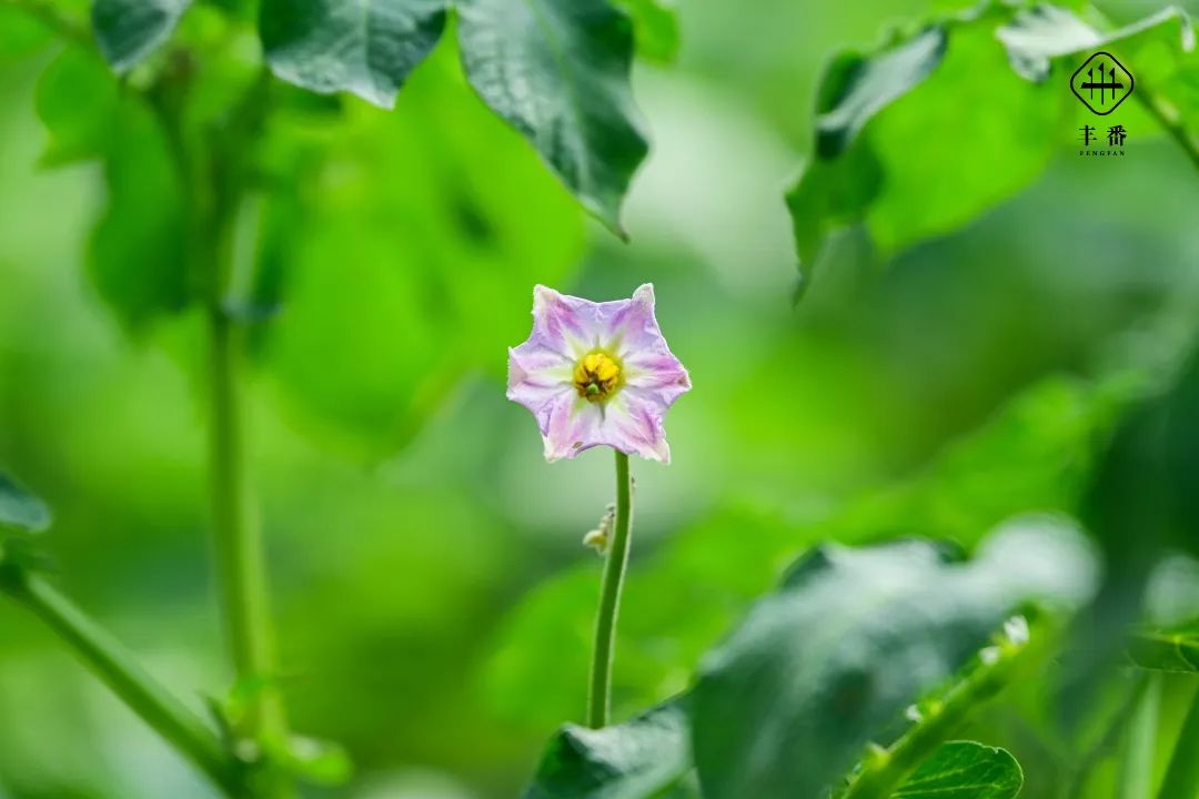 6841653606871123.jpg 微信图片_20220527071210.jpg