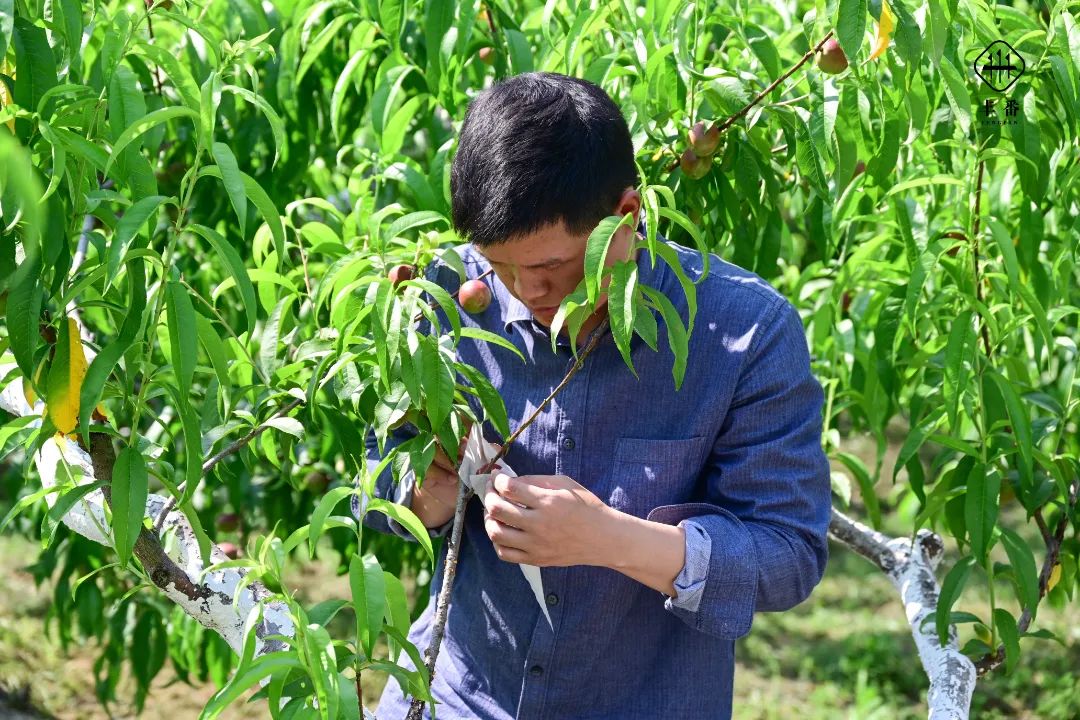 8191652486624935.jpg 微信图片_20220514075634.jpg