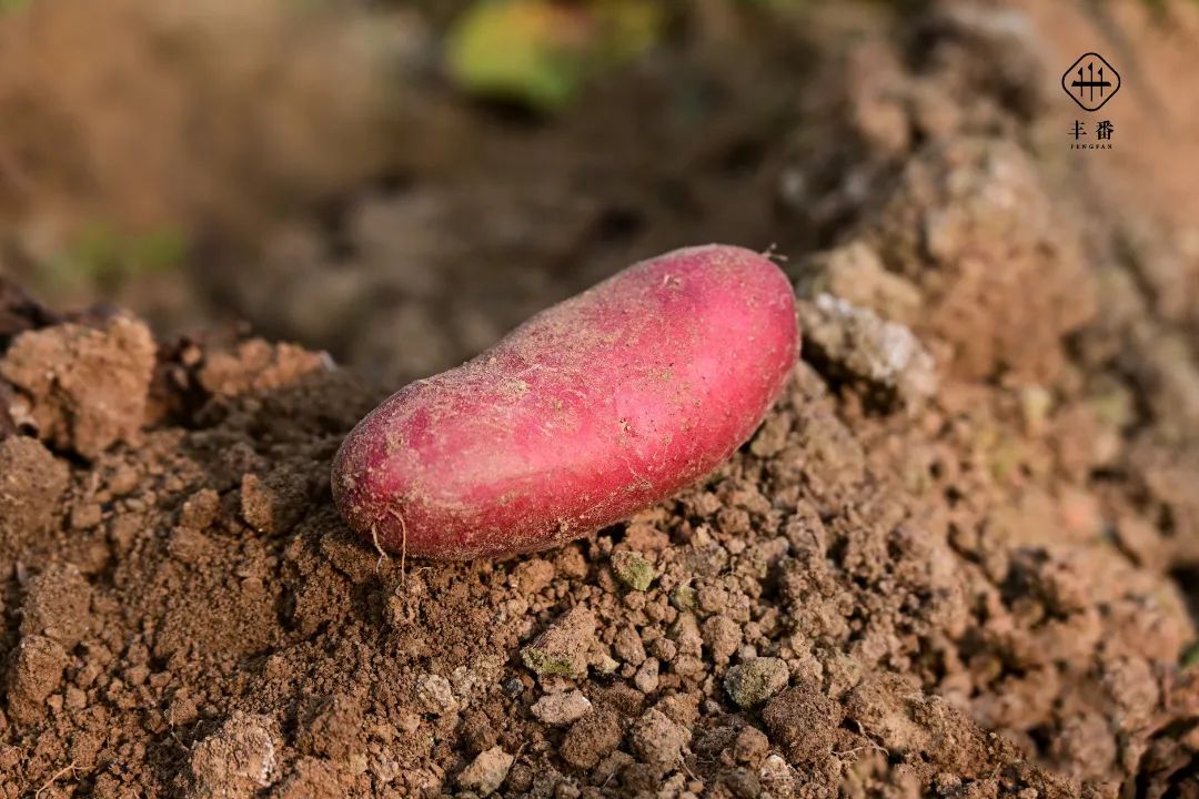 827165360701678.jpg 微信图片_20220527071223.jpg