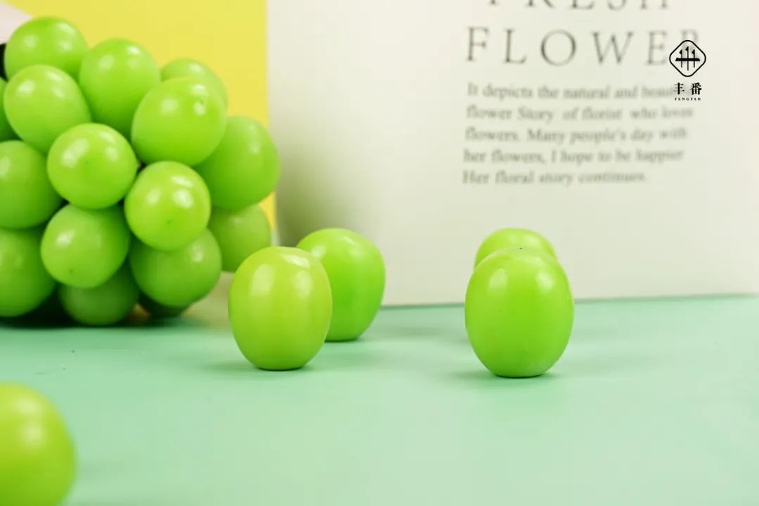 5581659598293678.jpg 640 (13).jpg