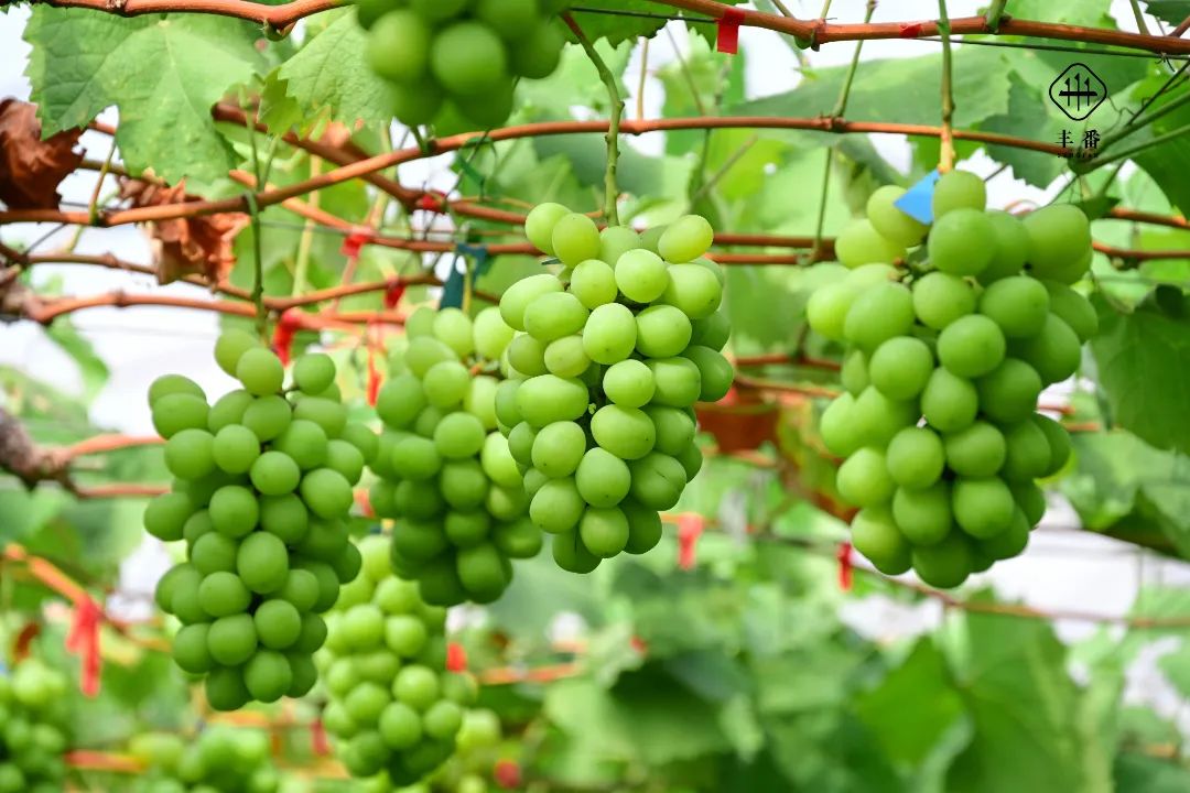 6611659598047450.jpg 640 (1).jpg